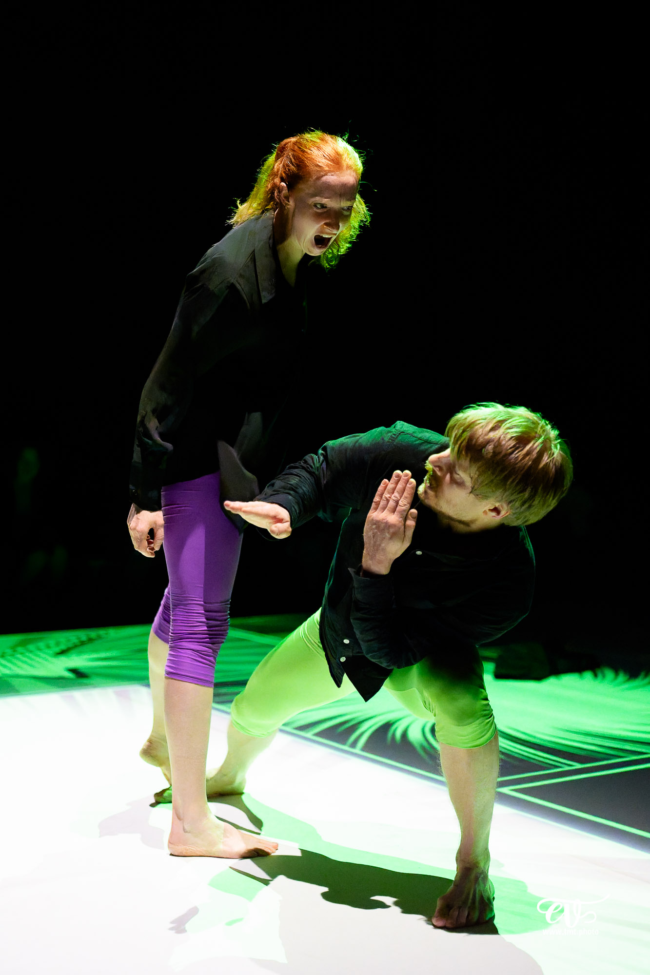 TMTPHOTO 2026.01.24 GO (CIE CORPS IN SITU) 052